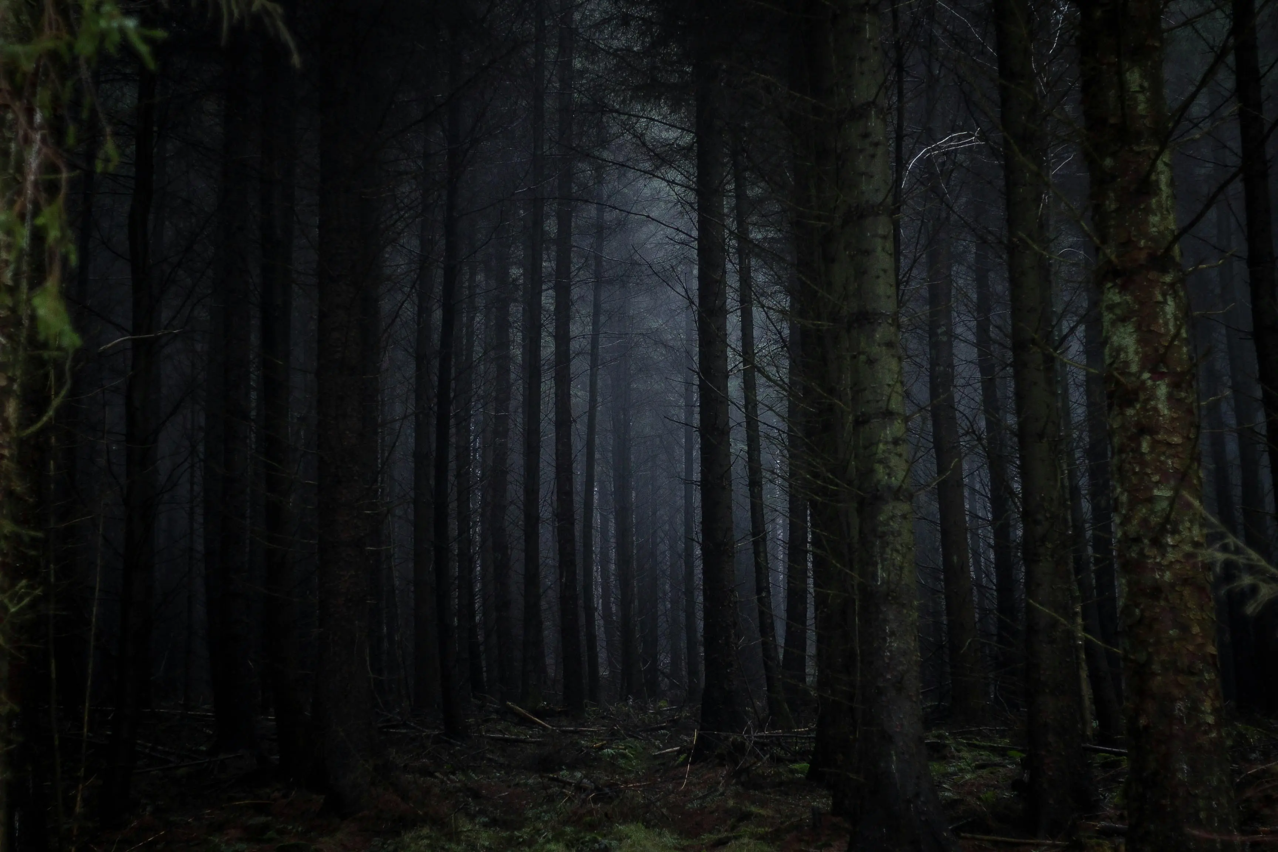 Rising from Darkness
