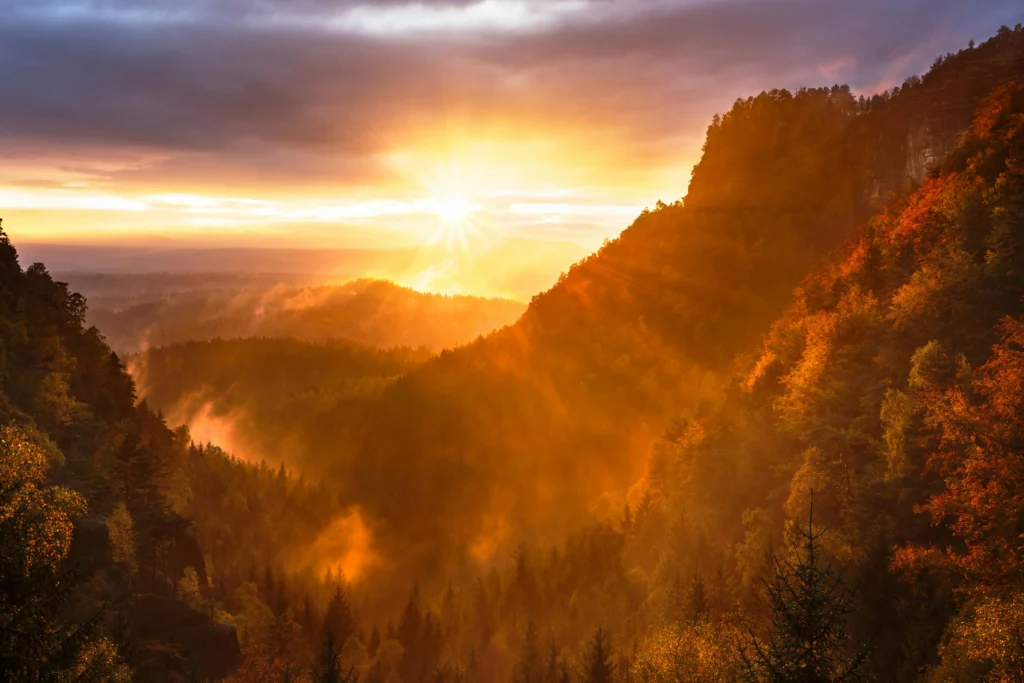 Sunrise with golden rays spreading across the horizon, symbolizing hope and new beginnings